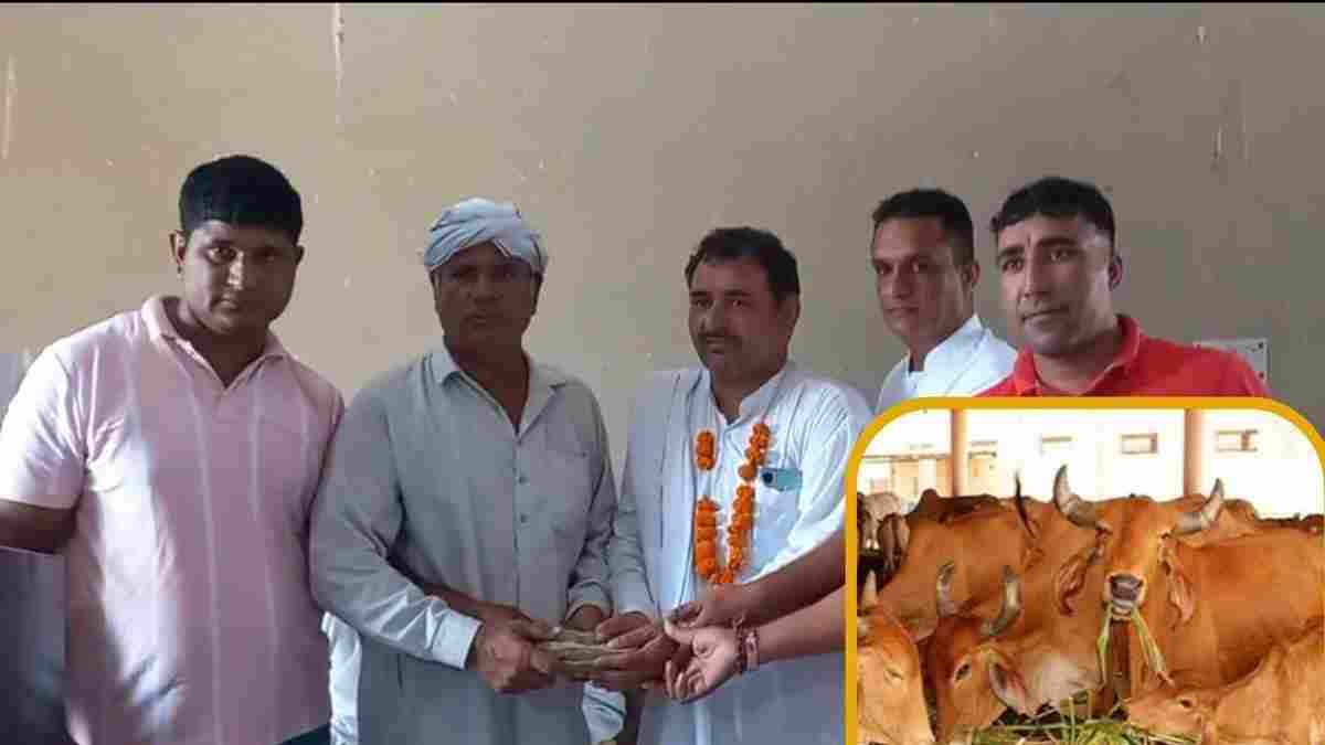 हरियाणा में दोस्तों की इस चौकड़ी को हर कोई कर रहा सलाम, घेवर से मुनाफे में कमाएं 27 लाख गौशाला में किए दान Panipat Cow Sewa