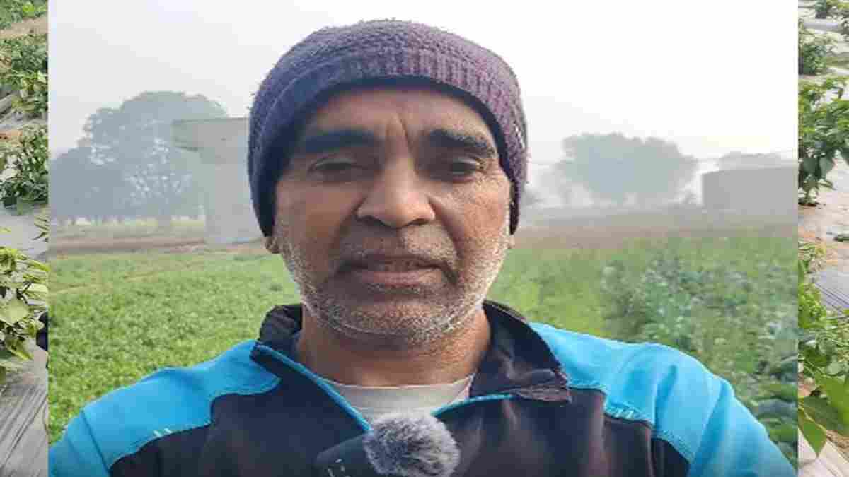 चरखी दादरी: 11 साल पहले पारंपरिक खेती छोड़ शुरू की जैविक खेती, आज किसान सुरेंद्र हुआ मालामाल Charkhi Dadri Surendra Kumar