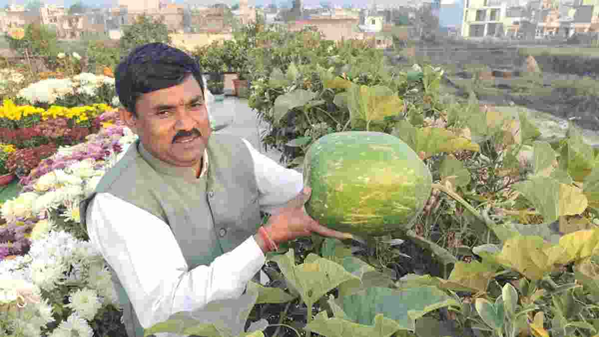 करनाल के रामविलास ने घर की छत पर बनाया मिनी फार्म हाउस, वर्टिलेयर फार्मिंग से कमा रहे तगड़ा मुनाफा Karnal Rambilash Kisan