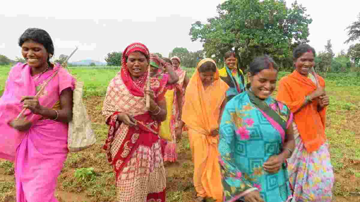 हरियाणा में लखपति दीदी योजना का होगा विस्तार, महिलाओं को ऐसे मिलेगा लाभ Ladies Mahila