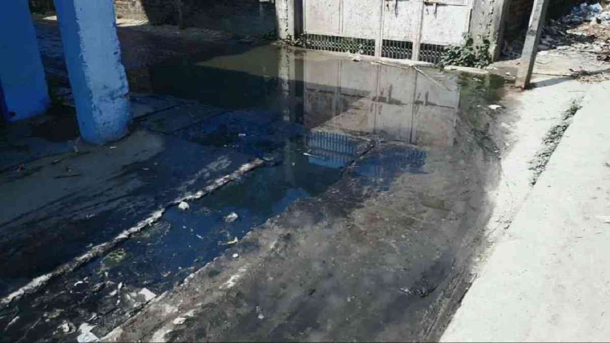 हरियाणा में एक नवविवाहिता की शादी बनी चर्चा का विषय, ट्विटर पर सीएम खट्टर से लगाई यह गुहार Gali Me Paani Gandagi