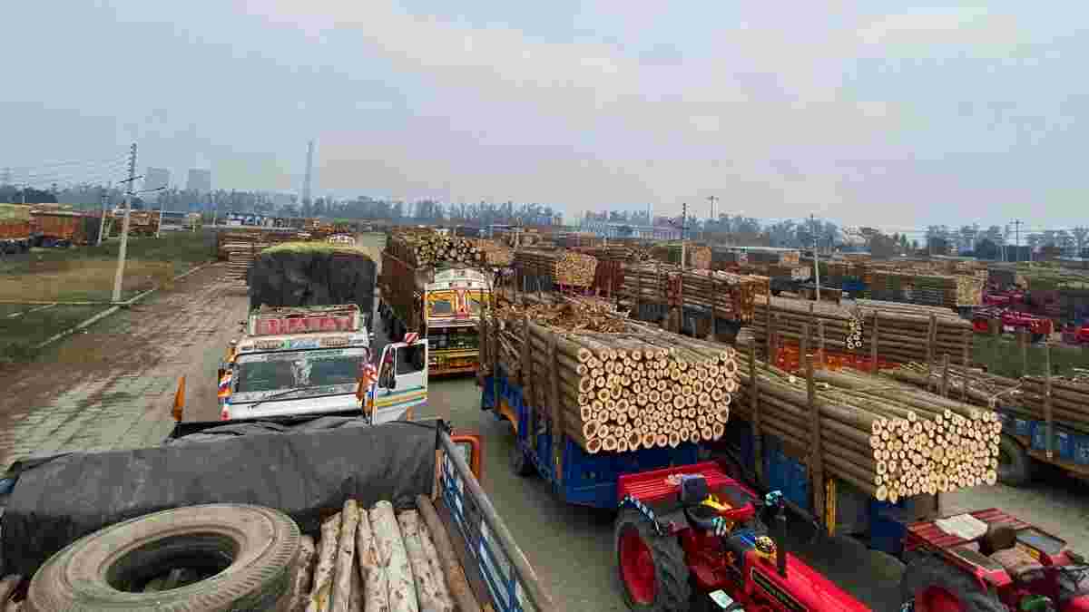 यमुनानगर में बनेगी 37 एकड़ में लक्कड़ मंडी, गांव दुसानी में बनाने योजना; पढ़े ताज़ा अपडेट Yamunanagar News