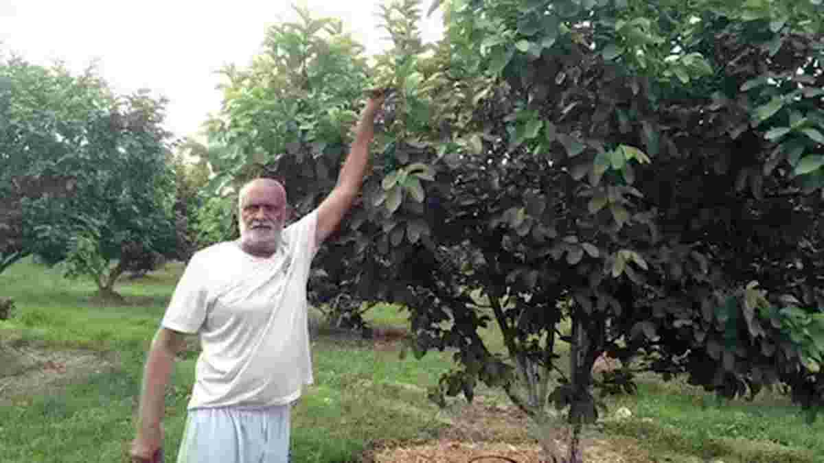 हरियाणा के किसान महावीर ने बागवानी खेती से बदली अपनी किस्मत, 3 बार जीत चुके हैं बेस्ट फॉर्मर का अवार्ड Kisan Fatehabad