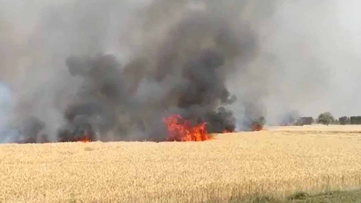 हरियाणा में फिर दिखा आग का तांडव, 300 एकड़ में गेहूं के फानों के साथ ट्रैक्टर व रीपर मशीन जलकर राख Fire In Khet