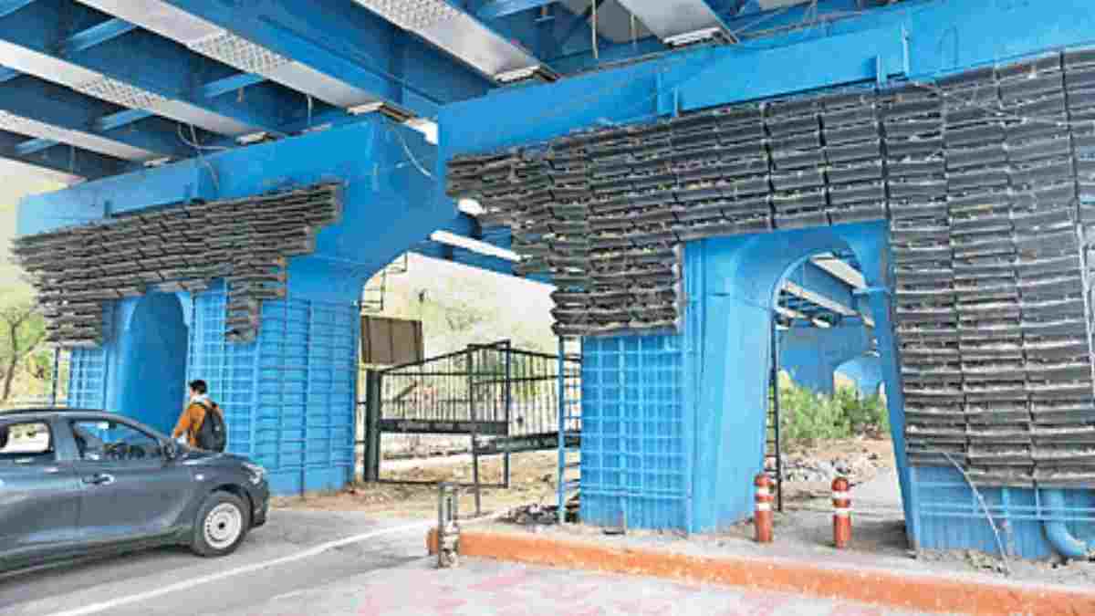 दिल्ली में पर्यावरण संरक्षण के लिए लगाए गए गमलों की चोरी से परेशान हुआ नगर निगम, अब 'मधुमालती' का लिया जाएगा सहारा Delhi Botnical Garden