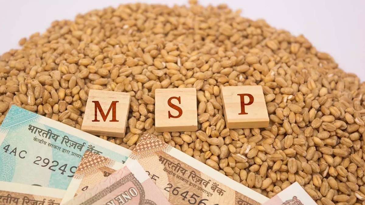 हरियाणा में किसानों को MSP, सब्सिडी और सरकारी योजनाओं का मिलेगा लाभ; 10 जुलाई तक कराएं रजिस्ट्रेशन MSP