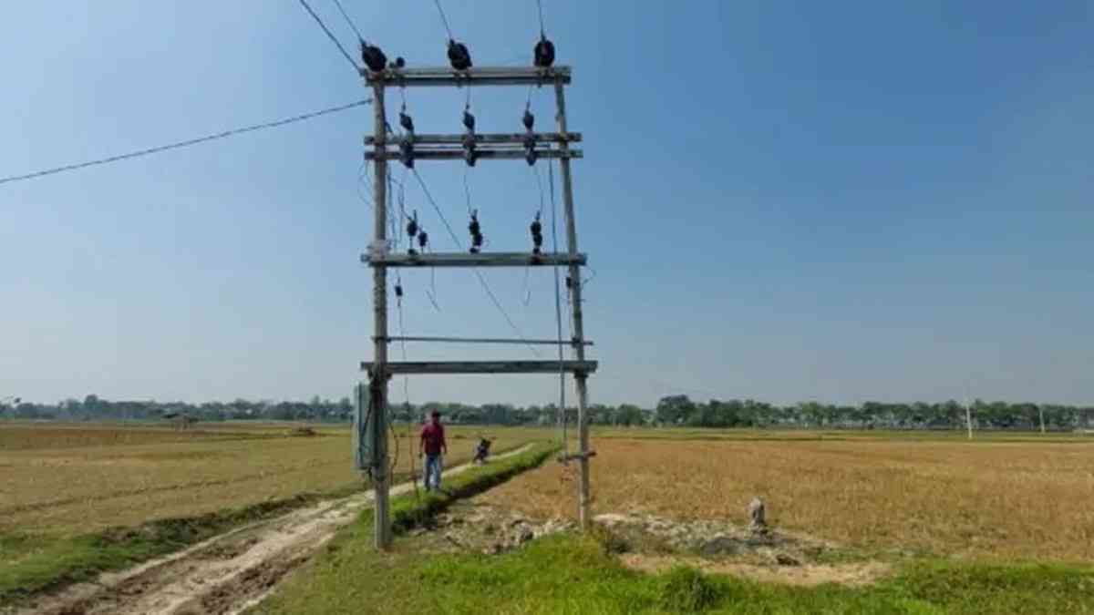 हरियाणा में खेतों से गुजरने वाली हाईटेंशन बिजली लाइनों का मिलेगा मुआवजा, जानें क्या रहेगा पैमाना Transfermer Bijli