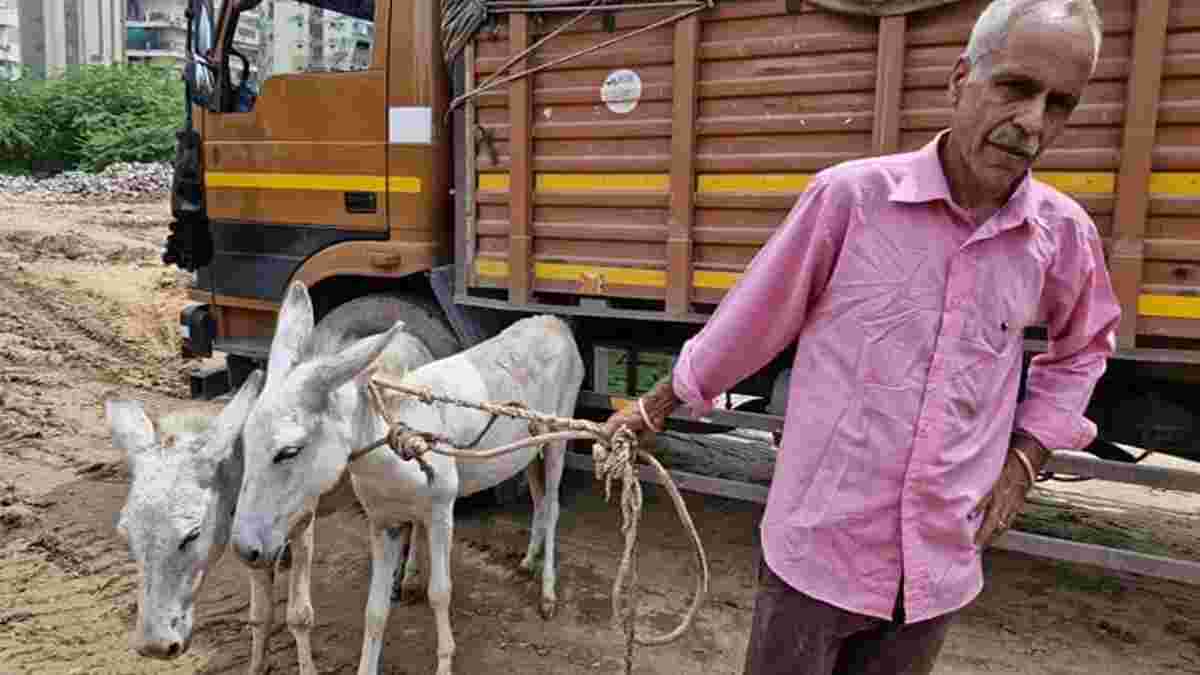 2 गधों के साथ सड़कों पर घूमते दिखें पूर्व IAS व पूर्व DC फरीदाबाद, वजह जानकर चौंक जाएंगे आप WhatsApp Image 2024 08 19 at 16