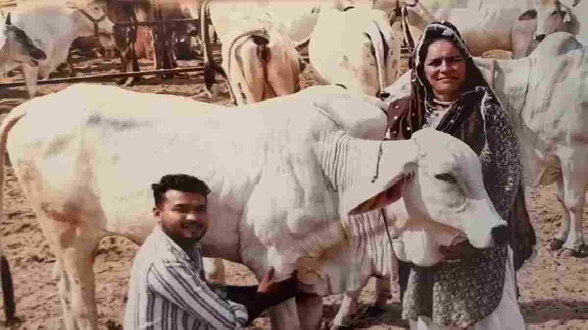 हरियाणा की रेणु को आज मिलेगा नेशनल अवार्ड, डेयरी में 350 गोवंश; 12 देशों में देशी घी की सप्लाई Haryana Renu Gopal Ratan Award