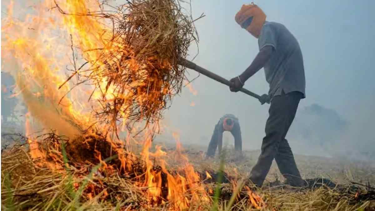 केंद्र सरकार का प्रदूषण को लेकर बड़ा फैसला, अब पराली जलाने पर लगेगा दोगुना जुर्माना Parali Burning