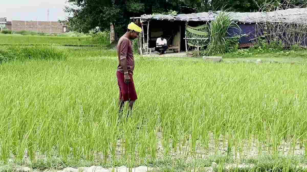 करोड़ों किसानों को जल्द मिलेगी खुशखबरी, इस तारीख तक मिलेंगे पीएम किसान योजना के 2 हजार रुपए Kitnasak Kisan Fasal