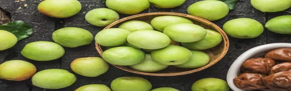हरियाणा के किसान रमन की कश्मीरी ऐपल बेर की खेती ने बदली किस्मत, आज लाखों में कमाई; विदेशी भी हुए फैन images 1 compressed