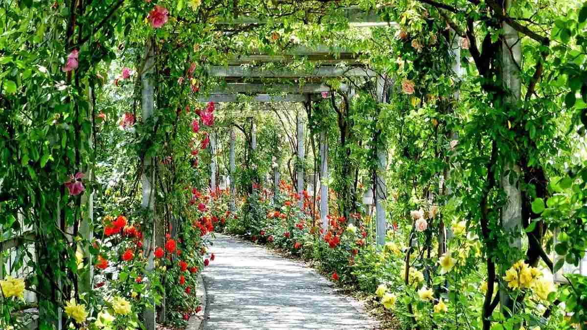 CM रेखा गुप्ता का दिल्ली वासियों के लिए एक और तोहफा, यहाँ पर बनाया जाएगा भव्य पार्क Herbal Park Garden