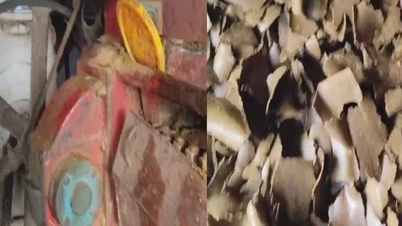 हरियाणा के किसान वीरेंद्र का स्मार्ट बिजनेस, 8 लाख से किया था शुरू; आज लाखों में पहुंची कमाई Virender Sarso Mill