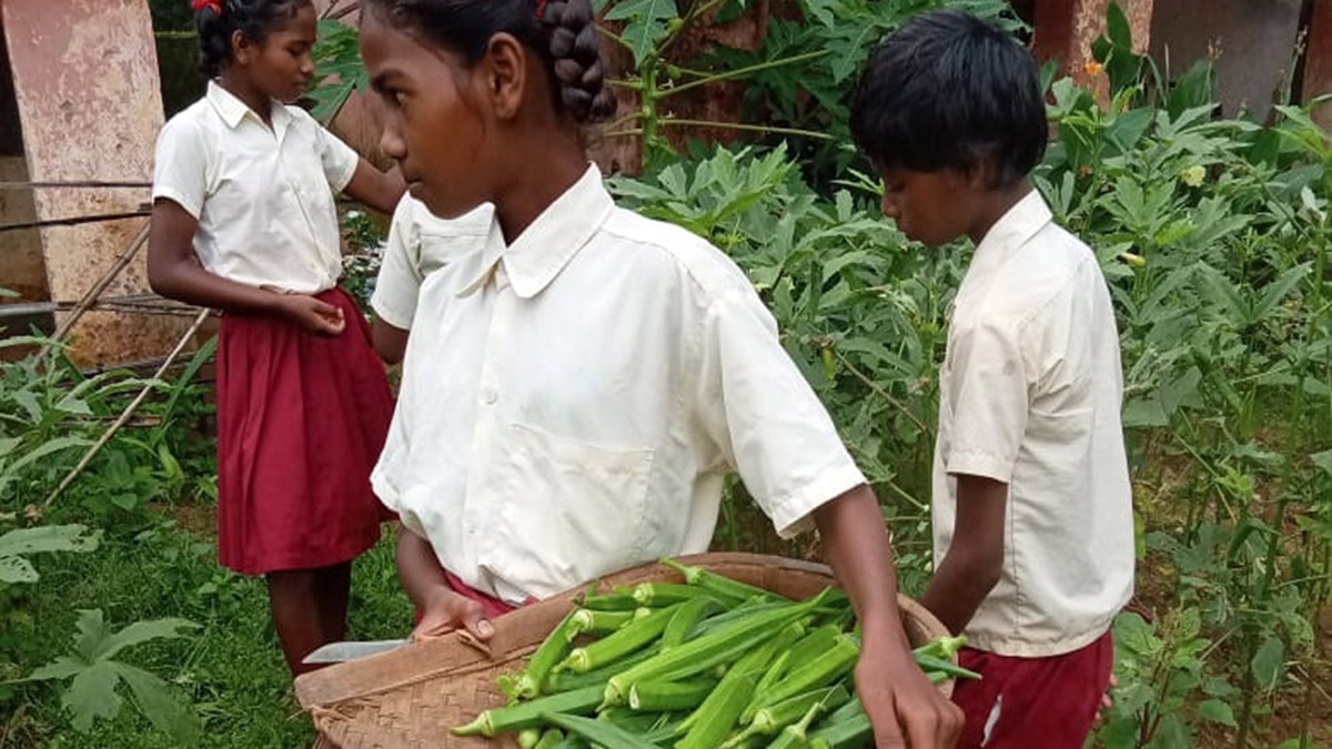 हरियाणा में ऑर्गेनिक खेती करना सीखेंगे स्कूली बच्चे, चख सकेंगे मौसमी फल- सब्जियों का स्वाद Garden Kheti