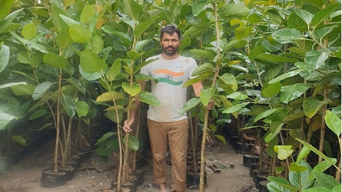 पानीपत के ट्रीमैन देवेंद्र सूरा ने छेड़ी पर्यावरण संरक्षण की अनोखी मुहिम, लगा डाले 2 लाख से ज्यादा पौधे Tree Man Sonipat