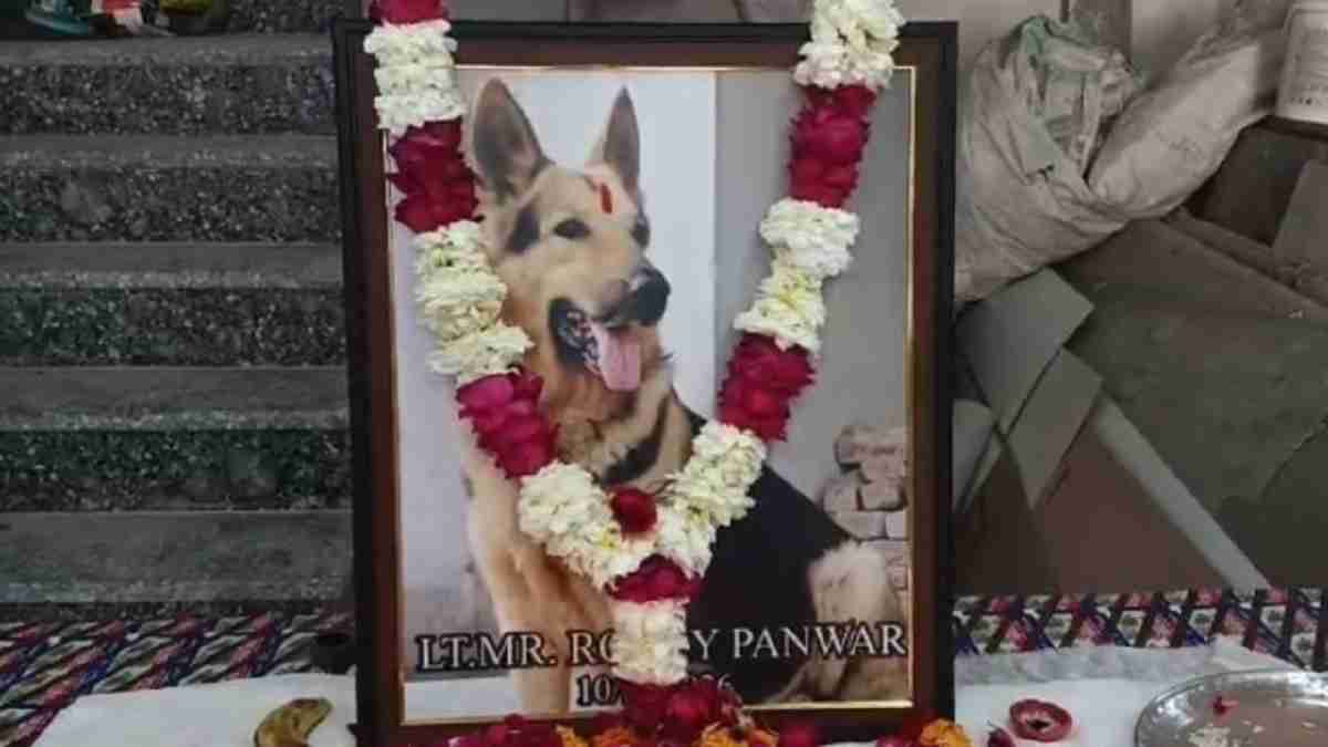 पानीपत में कुत्ते के प्रति प्यार और समर्पण का अनोखा मामला, मौत पर आयोजित किया विशाल भंडारा Rocky Dog