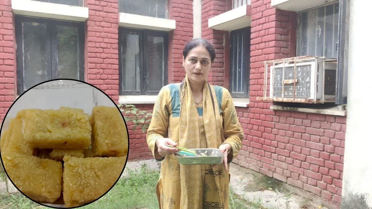 हिसार की महिला वैज्ञानिक का कमाल, एलोवेरा जूस से तैयार की खास बर्फी; स्वाद में भी नंबर-1 Dr. Vandana Chaudhary Hisar