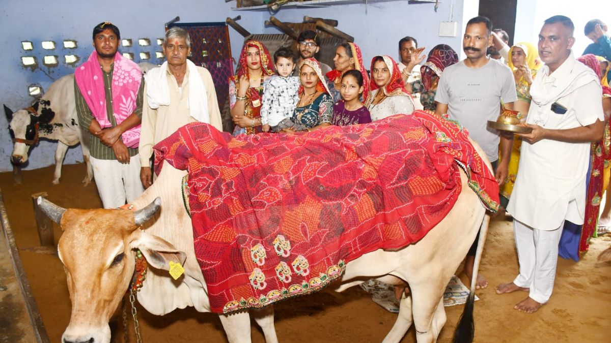 Bachda Chathi Narnaul