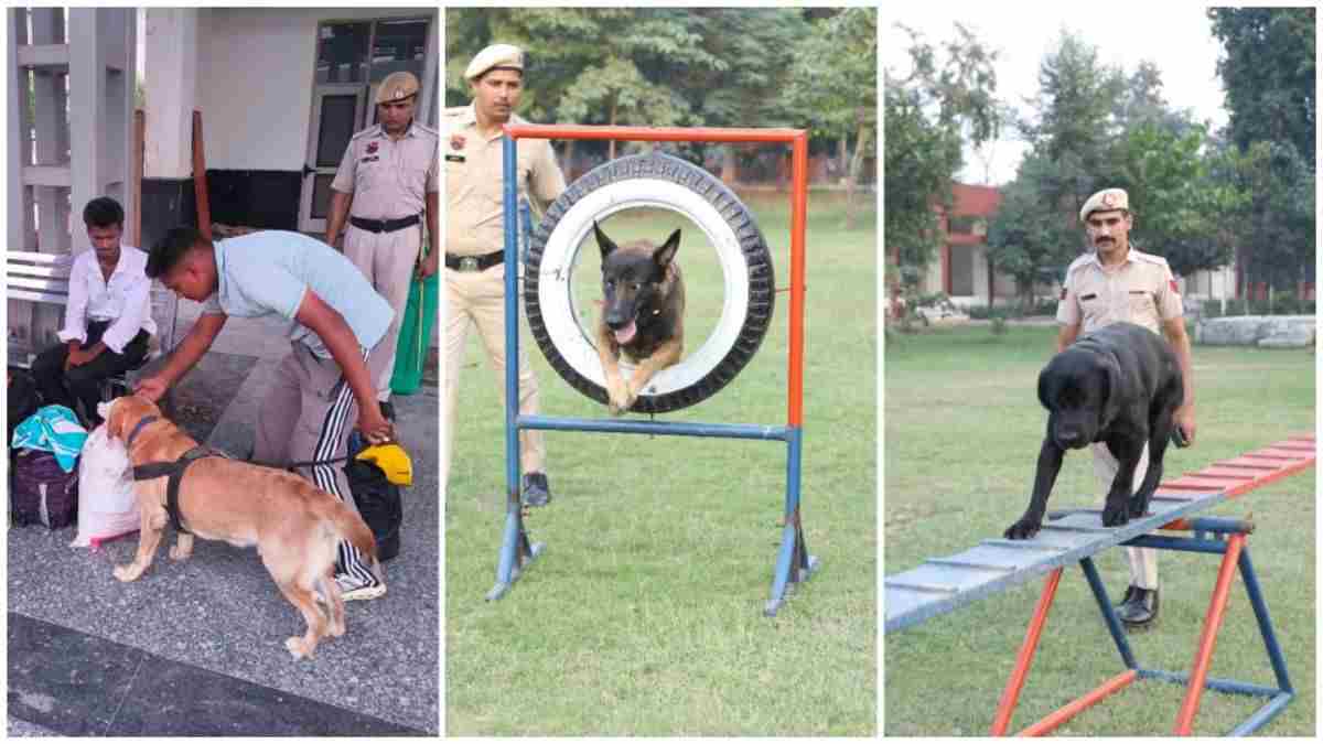 हरियाणा में नशे के खिलाफ बड़ी सफलता, स्निफर डॉग्स की मदद से करोड़ों की खेप बरामद Police Dog