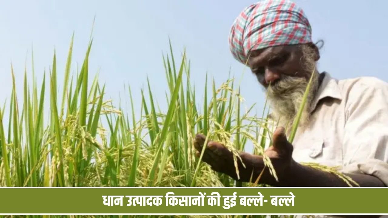 धान उत्पादक किसानों की हुई बल्ले- बल्ले, सोनीपत में 5 हजार के पार पहुंचा 1121 किस्म का भाव Dhani Sonipat
