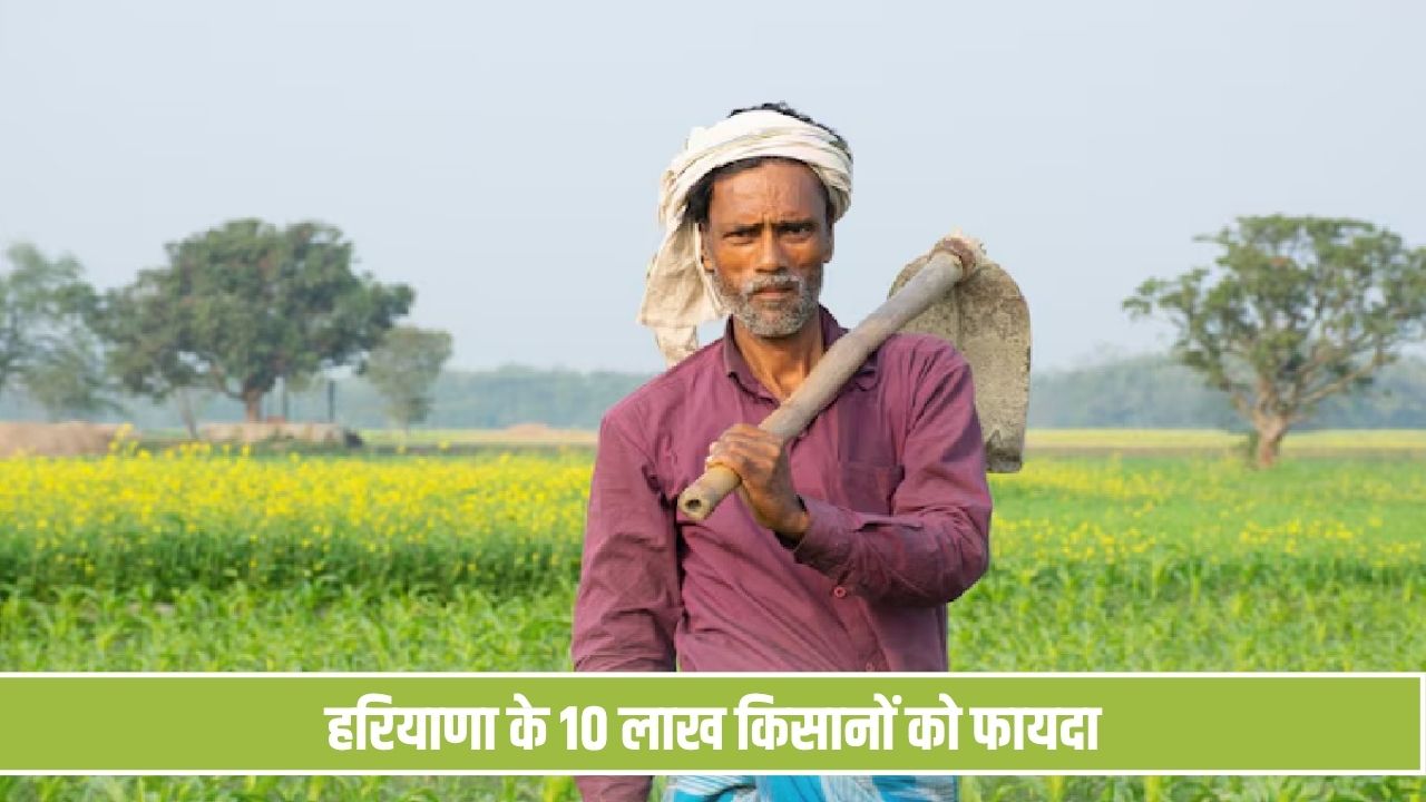 त्यौहारों पर हरियाणा के किसानों को तोहफा, फसल सत्यापन को लेकर सरकार ने शुरू की नई व्यवस्था E Bhoomi Portal