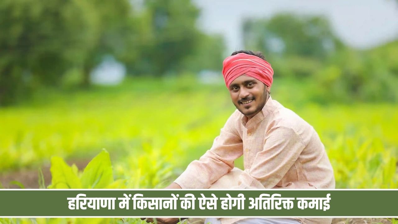 धान की जगह ये फसलें उगाएं किसान, 10 हजार रुपये प्रति एकड़ तक देगी हरियाणा सरकार Haryana Kisan Extra Income