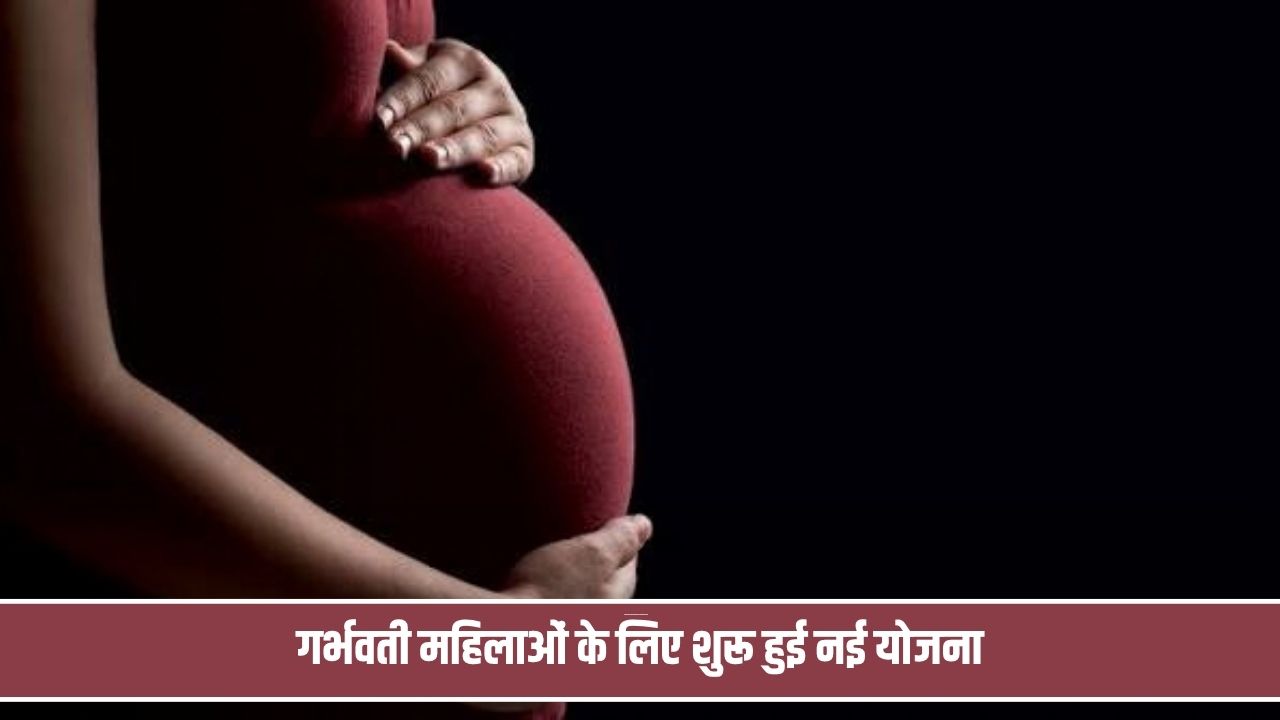 हरियाणा में गर्भवती महिलाओं के लिए नई योजना शुरू, पोर्टल पर मिलेगी पूरी जानकारी; प्राइवेट अस्पताल का ऑप्शन Pregnent Lady