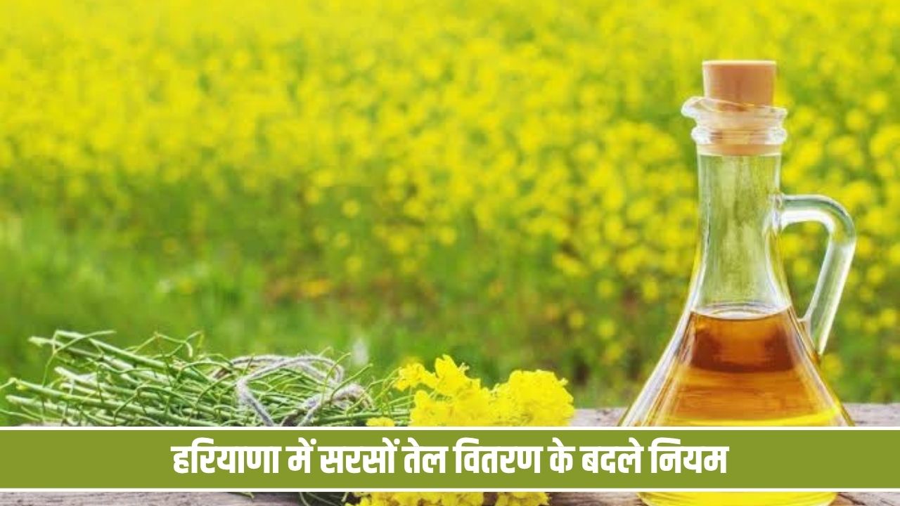 हरियाणा में सरसों तेल वितरण के बदले नियम, 20 अक्टूबर से डिपुओं पर पहुंचेगी सप्लाई Sarso Tel 20 Oct