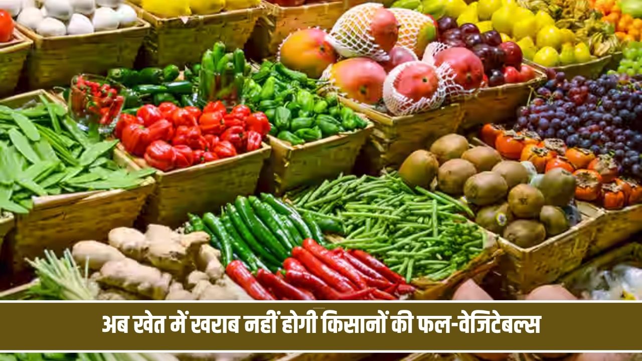 अब खेत में खराब नहीं होगी किसानों की फल-सब्जियां, हरियाणा में शुरू हुआ खास प्रोजेक्ट Vegetable